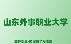 张雪峰谈山东外事职业大学：和公办本科的差距对比、热门专业推荐