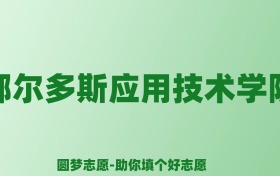 张雪峰谈鄂尔多斯应用技术学院：和211的差距对比、热门专业推荐