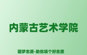 张雪峰谈内蒙古艺术学院：和211的差距对比、热门专业推荐