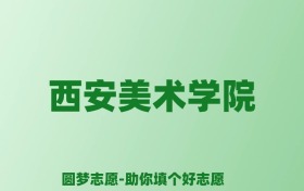 张雪峰谈西安美术学院：和211的差距对比、热门专业推荐