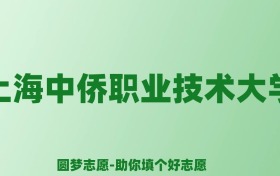 张雪峰谈上海中侨职业技术大学：和公办本科的差距对比、热门专业推荐