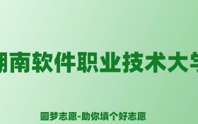 张雪峰谈湖南软件职业技术大学：和公办本科的差距对比、热门专业推荐