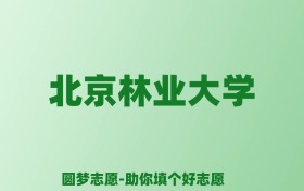 张雪峰谈北京林业大学：和985的差距对比、热门专业推荐