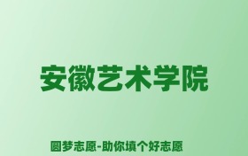 张雪峰谈安徽艺术学院：和211的差距对比、热门专业推荐