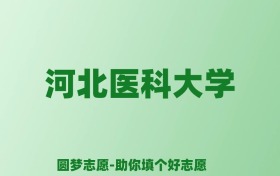 张雪峰谈河北医科大学：和211的差距对比、热门专业推荐