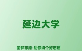 张雪峰谈延边大学：和985的差距对比、热门专业推荐