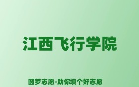 张雪峰谈江西飞行学院：和211的差距对比、热门专业推荐