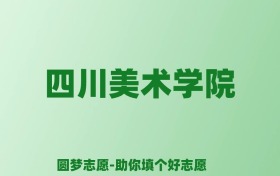 张雪峰谈四川美术学院：和211的差距对比、热门专业推荐