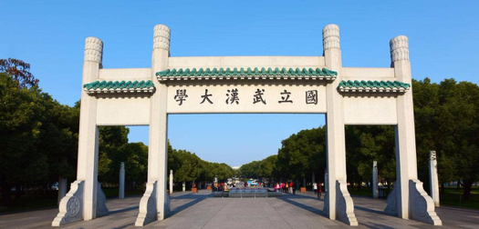 武汉大学